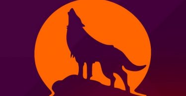 Ubuntu Wily Wolf
