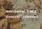 NerthServer 7 RC2 Gnocchi