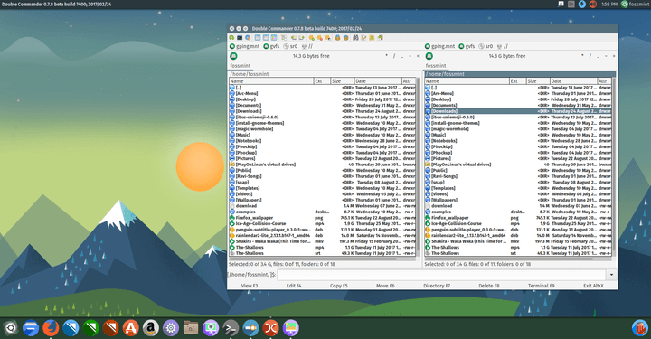 Double Commander File Manager for Linux