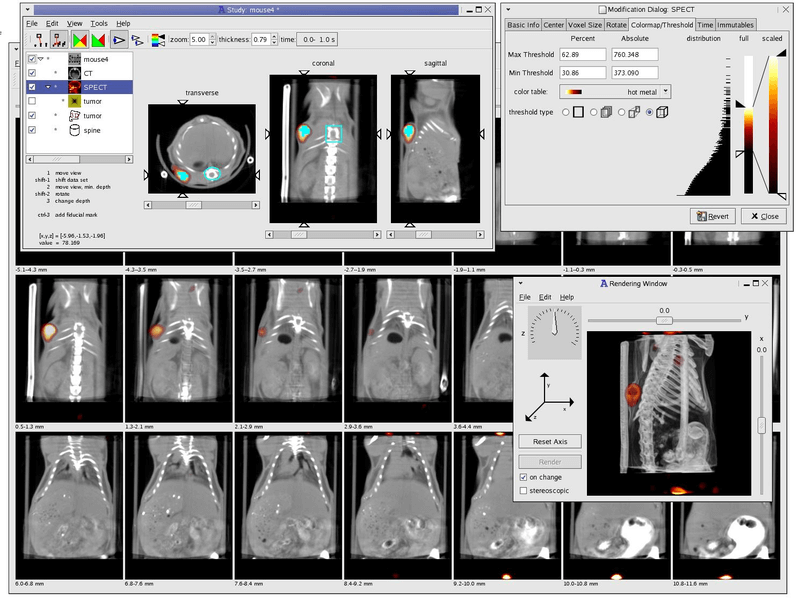 Kradview - X-ray Image Viewer