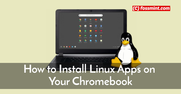 Install Linux Apps on Chromebook