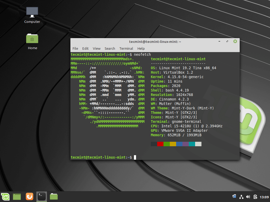 Linux Mint Terminal